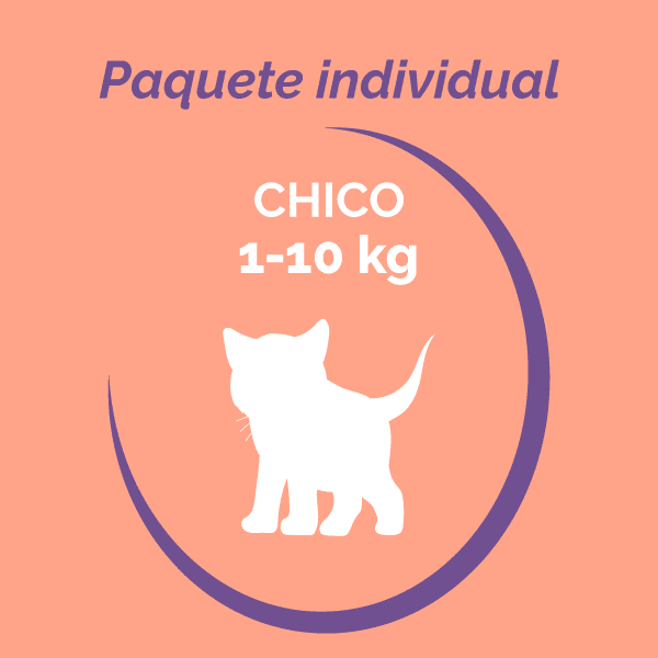 Individual Chico