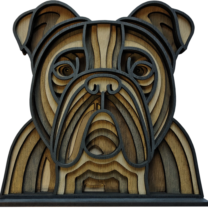 Figura Multicapa